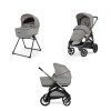 Inglesina Aptica Duo: Platinum Grey